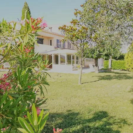 Spacieuse Au Milieu Des Vignes Villa